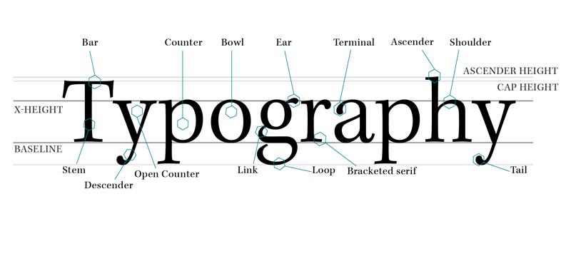 modern typeface x height